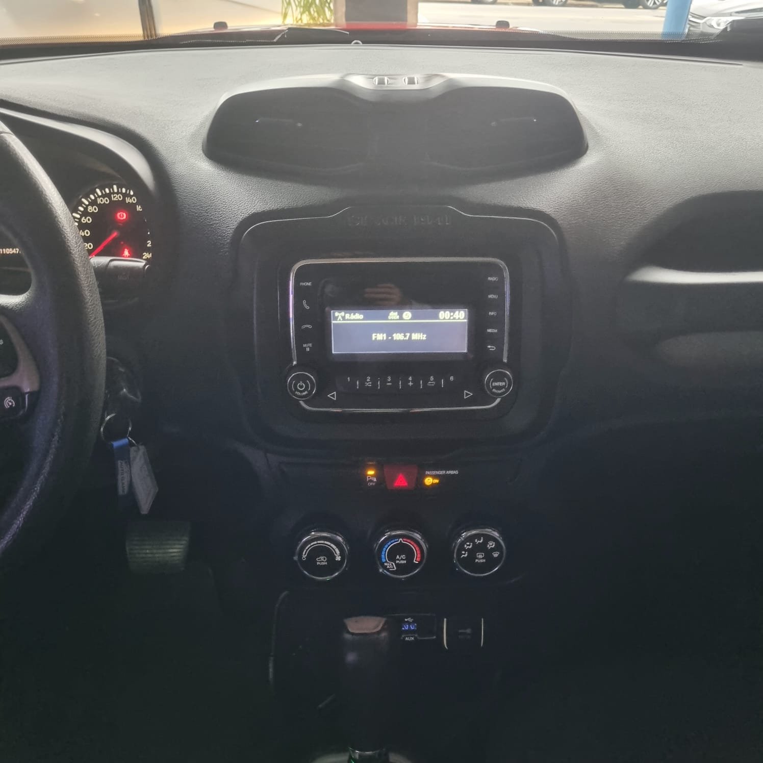 Renegade FIW5H99 10